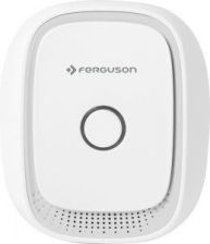 Ferguson Detektor gazu FS1RG recenzja