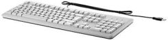 HP USB (Grey) Keyboard (B6B64AA) recenzja
