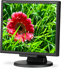 NEC 17″ MultiSync E171M Czarny (60003582) recenzja