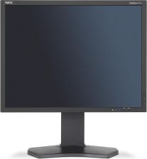 NEC 21″ MultiSync P212 Czarny (60003862) recenzja